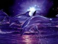 /album/paisajes-hermosos-/images-8-jpg/